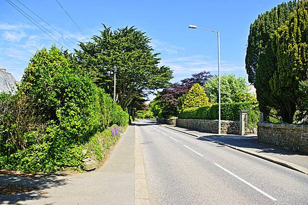 A quiet, empty road lined with lush green hedges and trees on a sunny day. The sky is clear blue, and a stone wall is visible on the right side. A streetlamp stands along the sidewalk.